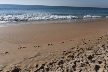 Footprints on the beach
