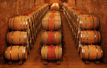 Wine barrels in wine-vaults in order