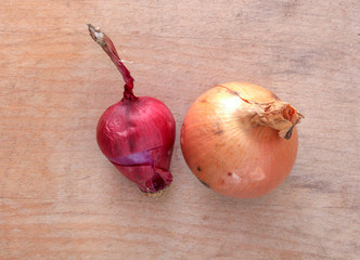 yellow and spanish onion on wood background