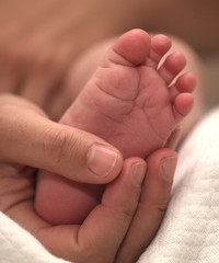 Tiny newborn baby foot in female hands.
