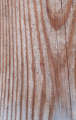 wood texture