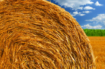 Hay bale 