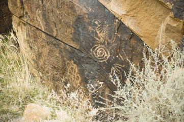 ancient american native petrographys in utah