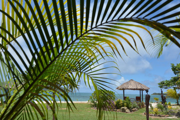 Landscape from a resort in Fiji