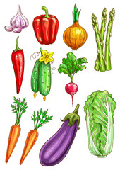 Vegetables vector sketch isolated icons