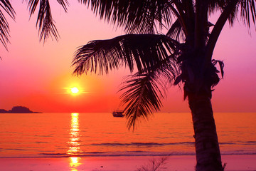 Naklejka na ściany i meble A beautiful sunset in the tropics.