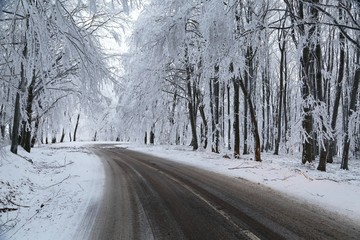 Winter Road Turns