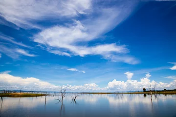Foto op Aluminium Lake Kariba.  Dead trees and reflection of the sky.  Zambezi River.  Zimbabwe, Africa. © Lynn Yeh