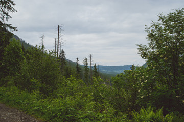 Obraz premium Majestic landscape in mountains