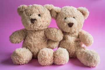 teddy bear on a plain colored background