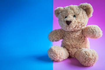 teddy bear on a plain colored background