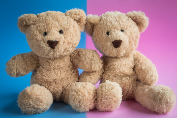 teddy bear on a plain colored background