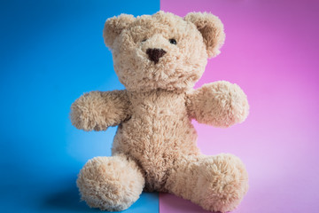 teddy bear on a plain colored background
