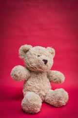 teddy bear on a plain colored background