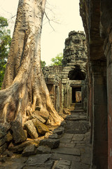 Fototapeta premium Angkor Wat. Temple. Khmer civilization. Siem Reap. Tourism in Cambodia