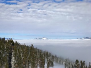 fog in the mountains