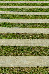Concrete Pathway with green grass