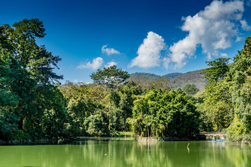 Fototapeta premium Mountain trees and green lake