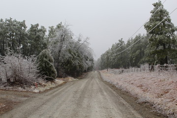 Ice Storm Janurary 2017