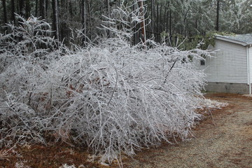 Ice storm Janurary 2017
