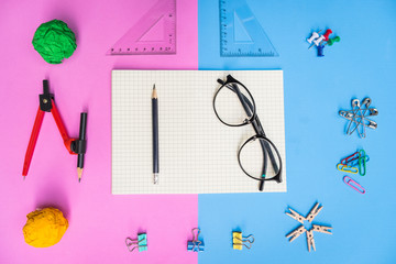 Flat lay, top view office table desk. feminine desk workspace with succulent, glasses, diary on pink and blue background, new idea