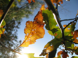 Fall approaches