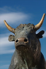 taureau