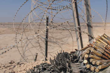 Focus Bullets, wire background
