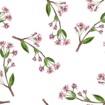 seamless pattern with cherry tree branches, flowers and leaves