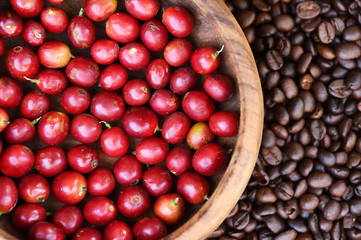 Coffee beans and fresh berries beans background