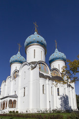cathedral of the virgin mary in sam sergei abbey,russian federation