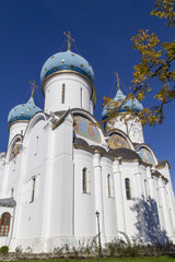 cathedral of the virgin mary in sam sergei abbey,russian federation
