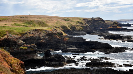 Phillip Island Nature Park - green hills and rugged coastline Victoria Australia. Rocky coastline...