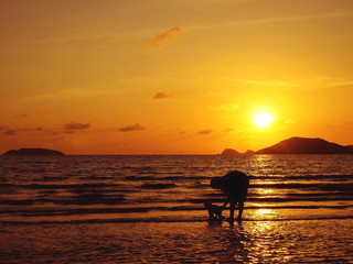 Fototapeta premium father and son on the beach in sunset.jpg