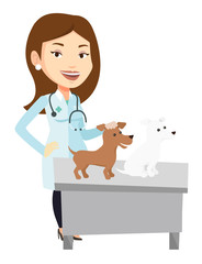 Veterinarian examining dogs vector illustration.