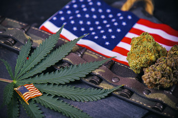Cannabis buds, leaf and american flag with some bullets - vetera