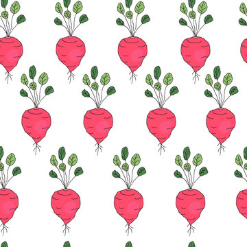 Hand drawn vector seamless pattern with radish isolated on white background. Farm vegetables, healthy food, organic.