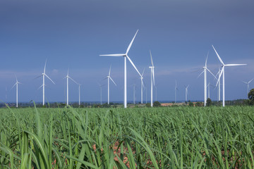 wind turbines in blue sky