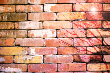 Abstract brown brick wall wiht tree painting for background