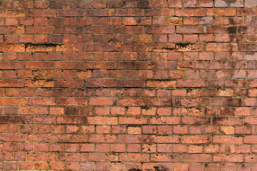 Obraz premium Brick wall texture