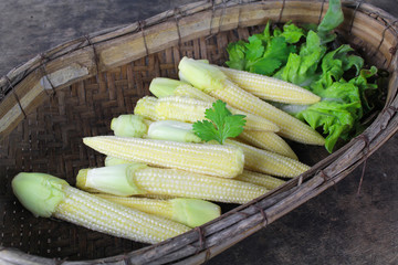baby corn with dew drop prepare for cooking