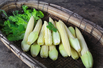 baby corn with dew drop prepare for cooking