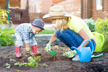 Kid and mother planting strawberry seedling into fertile soil outside in garden
