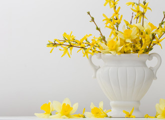 still life with spring flowers