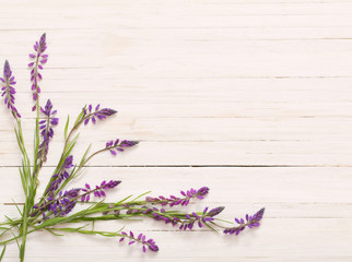 Fototapeta premium flowers on white wooden background