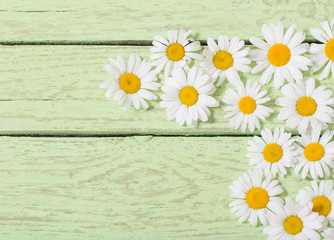 Obraz premium chamomile flower over blue wooden background