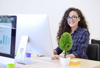 startup business, software developer working on computer at modern office