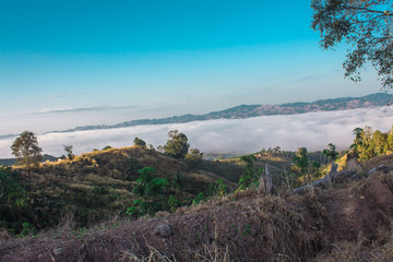 Fototapeta na wymiar Mountain Mist in NAN Thailand.