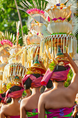 Group of beautiful Balinese women in costumes - sarong, carry offering for Hindu ceremony. Traditional dances, arts festivals, culture of Bali island and Indonesia people. Indonesian travel background © Tropical studio