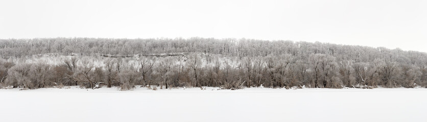 Winter forest covered with frost in the middle of Russia.